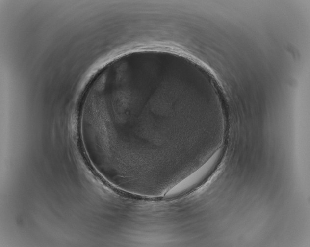 X0000111831506200907231306