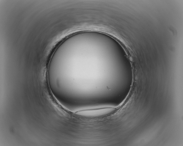 X0000111831507200907231306