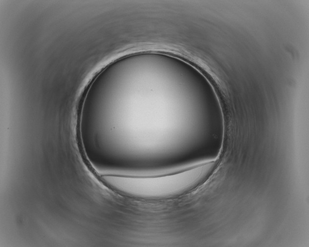 X0000111831508200907231306