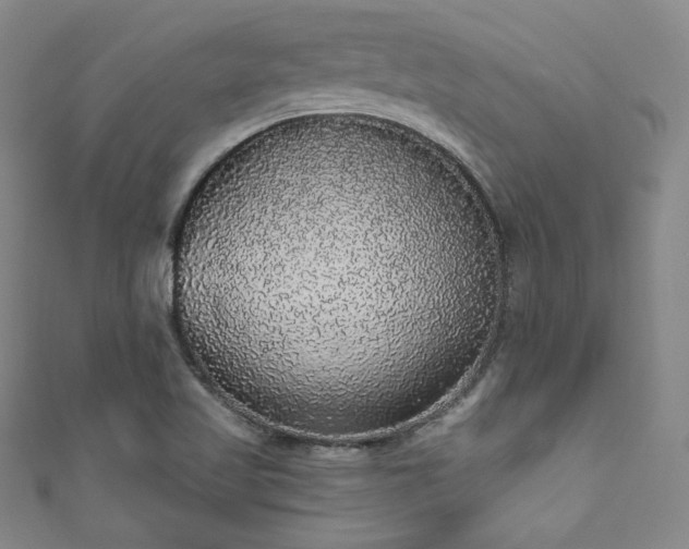 X0000111831509200907231306