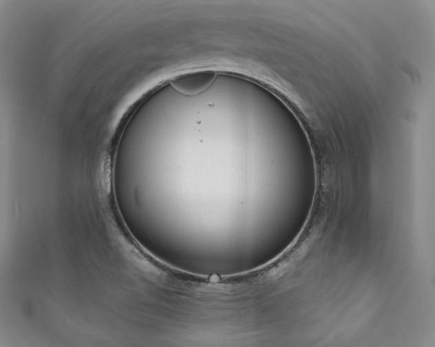 X0000111831510200907231306