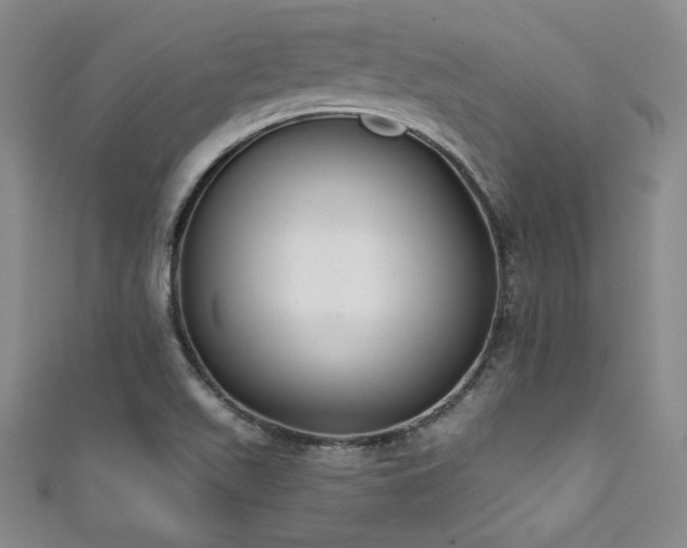 X0000111831511200907231306