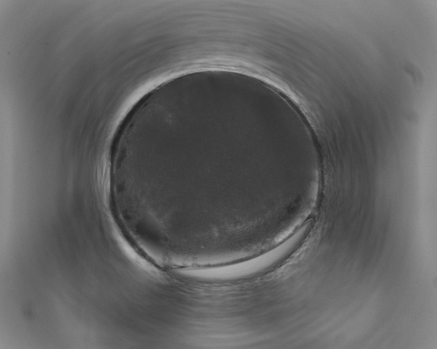 X0000111831515200907231306