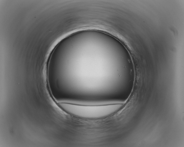 X0000111831516200907231306