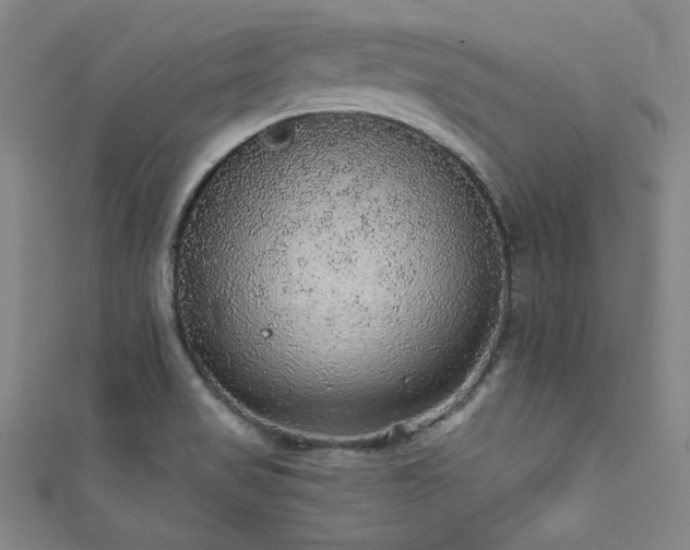 X0000111831517200907231306