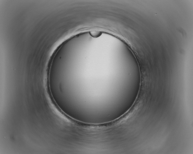 X0000111831518200907231306