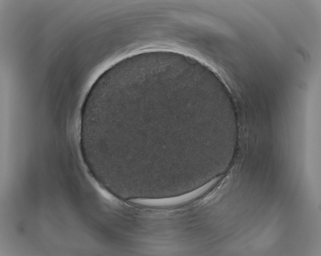 X0000111831519200907231306