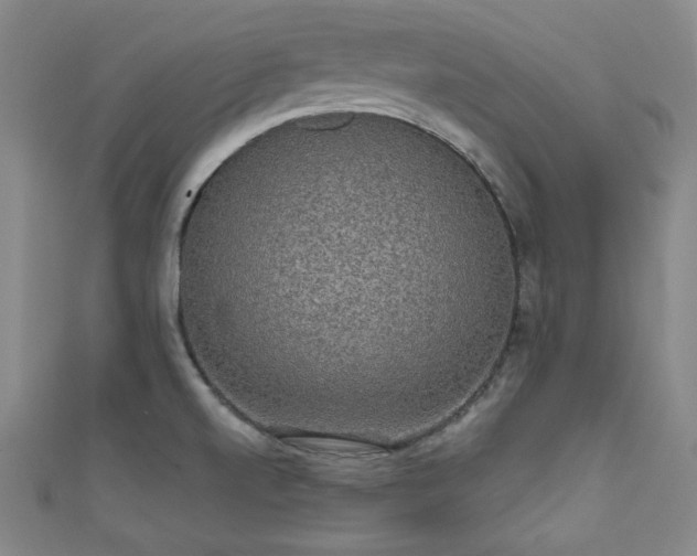 X0000111831520200907231306
