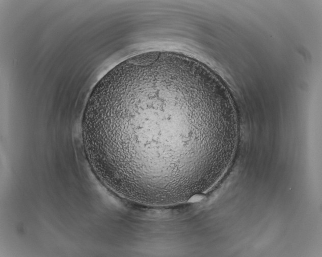 X0000111831521200907231306