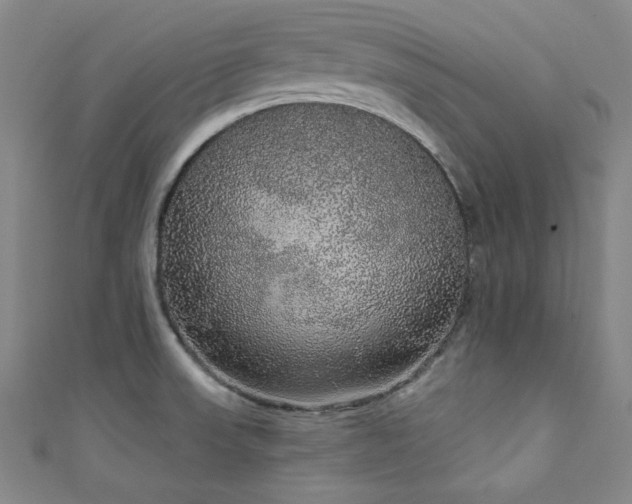 X0000111831523200907231306