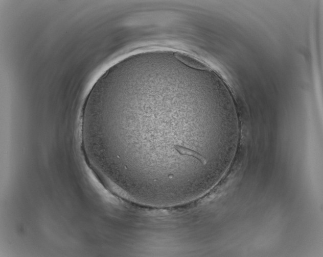X0000111831524200907231306
