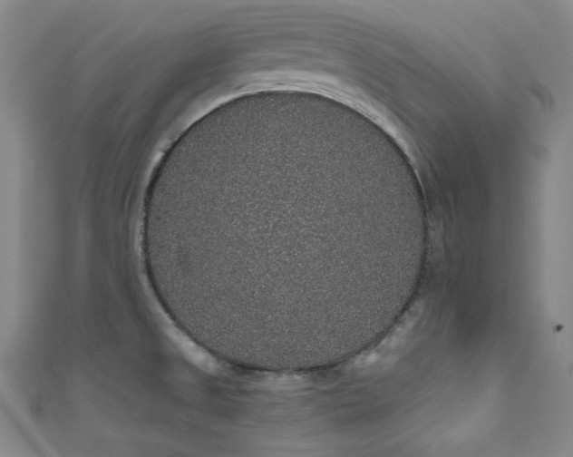 X0000111831525200907231306