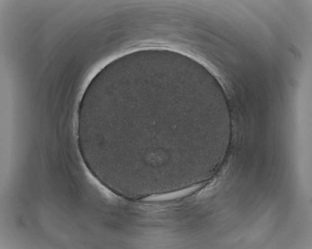 X0000111831527200907231306