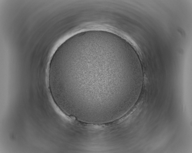 X0000111831528200907231306