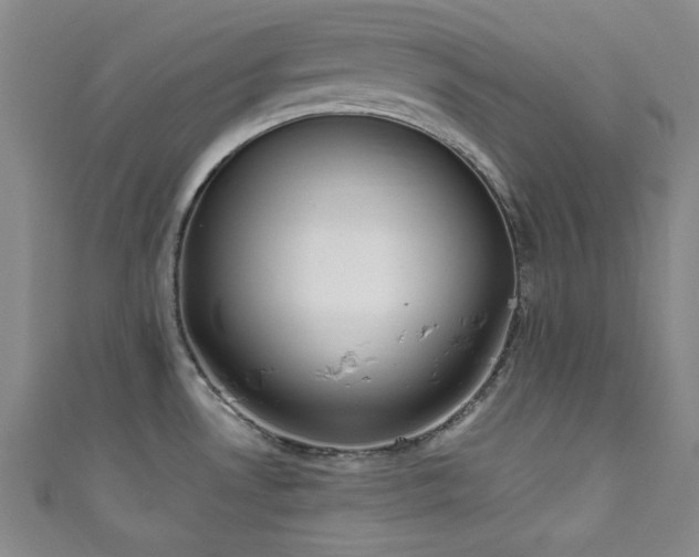 X0000111831530200907231306