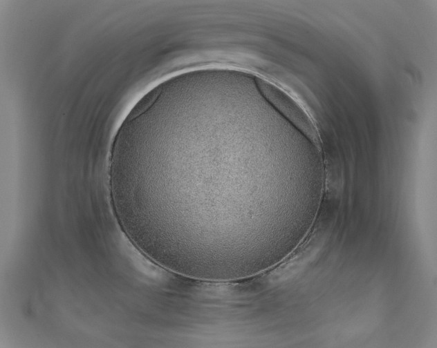 X0000111831532200907231306