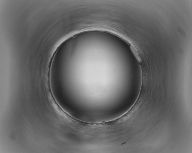 X0000111831534200907231306