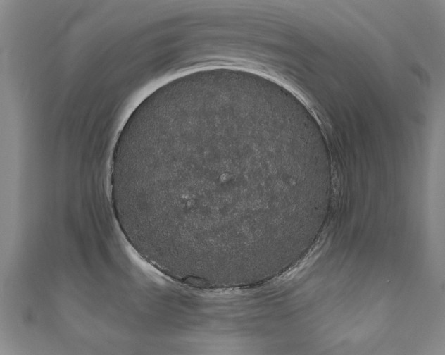 X0000111831535200907231306