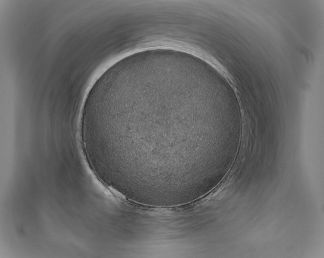 X0000111831536200907231306