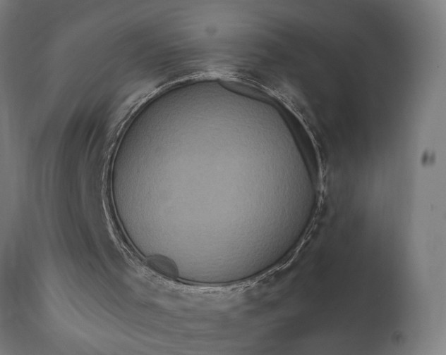 X0000111830001200907301331