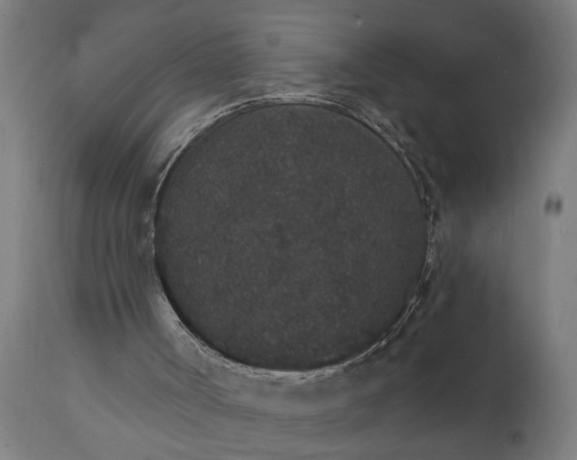 X0000111830002200907301331