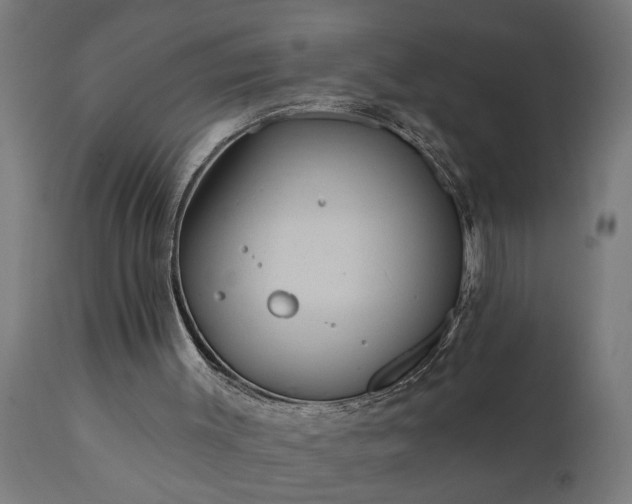X0000111830003200907301331