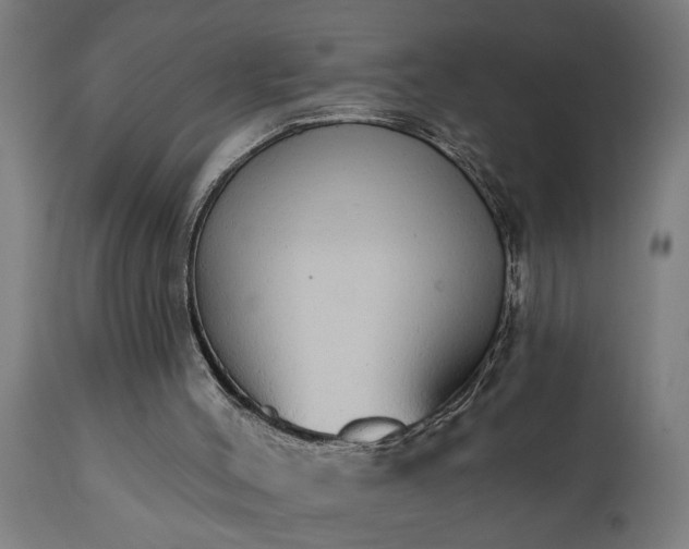 X0000111830004200907301331