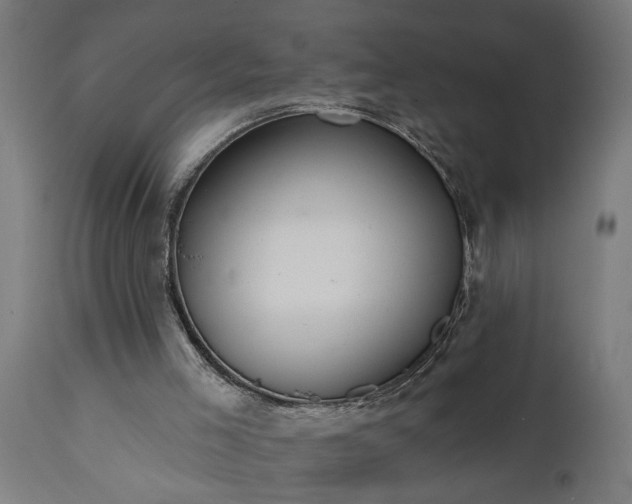 X0000111830005200907301331