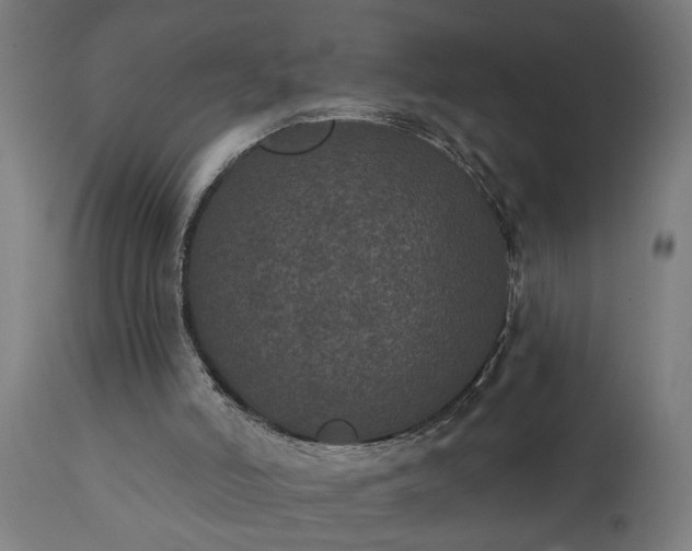 X0000111830006200907301331