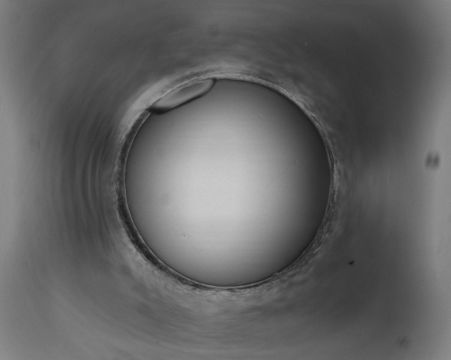 X0000111830007200907301331