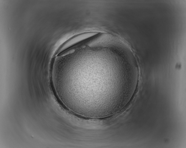 X0000111830008200907301331