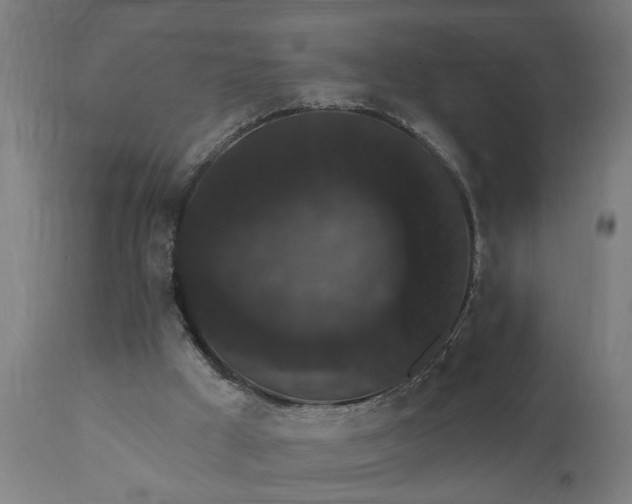 X0000111830009200907301331