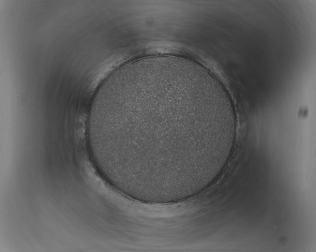 X0000111830010200907301331