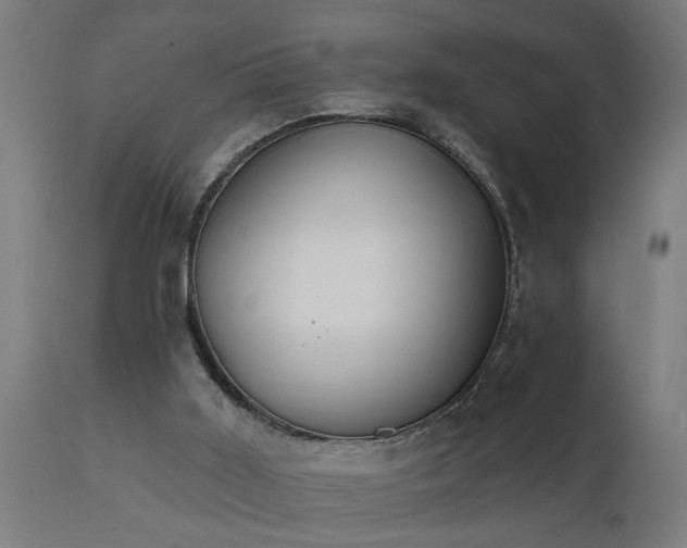 X0000111830011200907301331