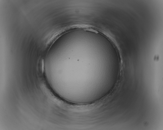 X0000111830013200907301331