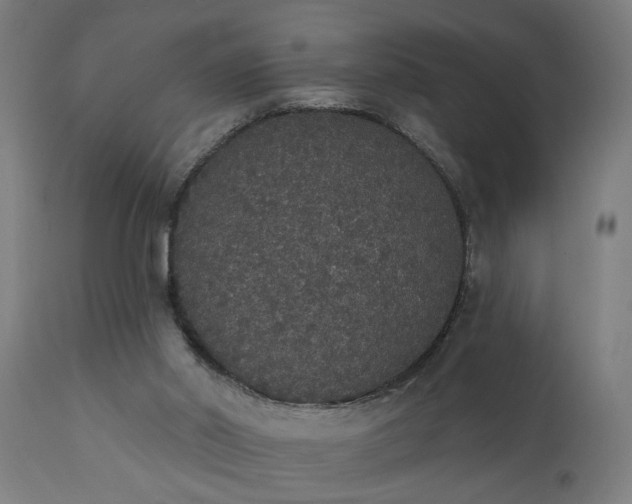 X0000111830014200907301331
