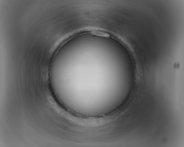 X0000111830015200907301331