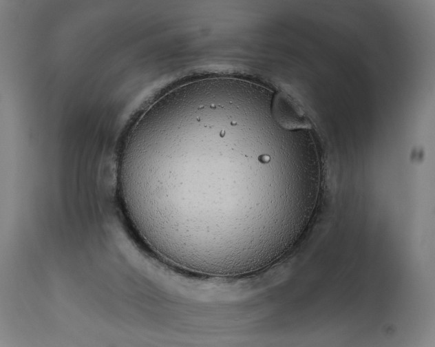 X0000111830016200907301331