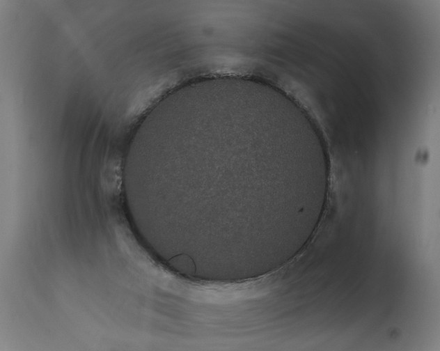 X0000111830017200907301331