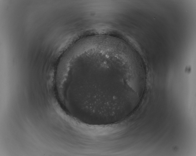 X0000111830018200907301331
