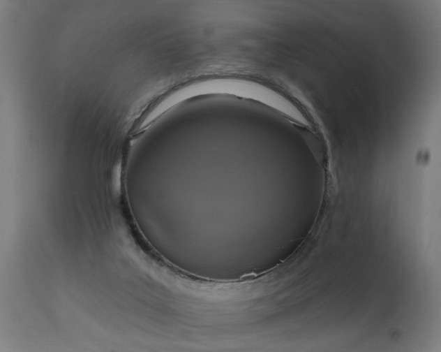 X0000111830019200907301331
