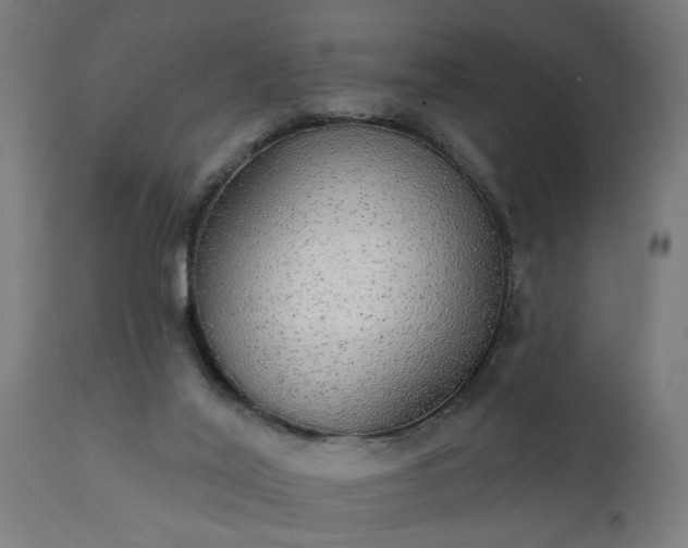 X0000111830020200907301331