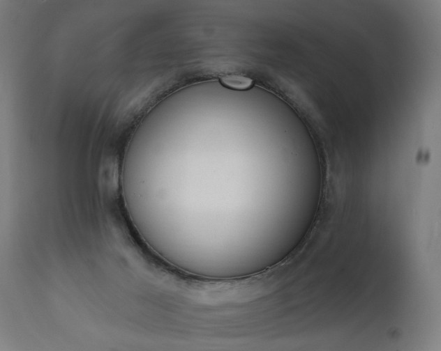 X0000111830021200907301331