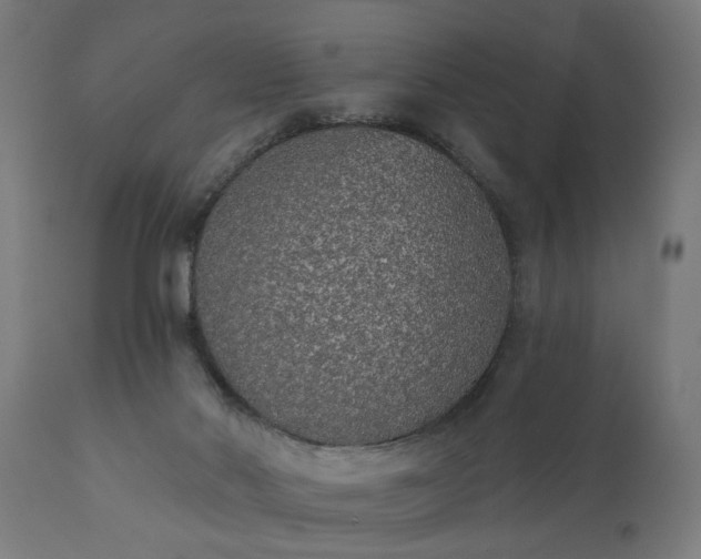 X0000111830022200907301331