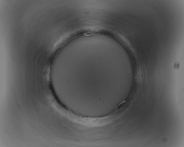 X0000111830023200907301331
