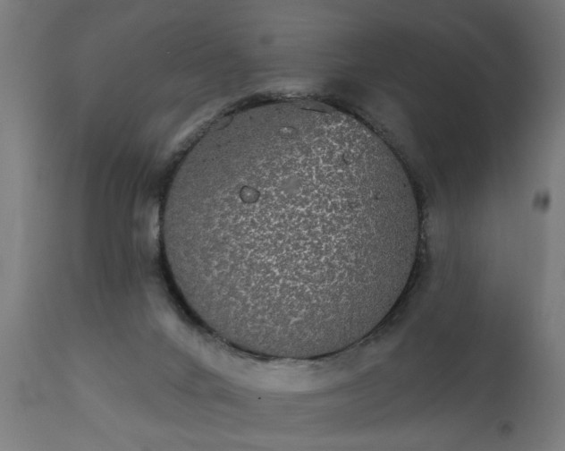 X0000111830024200907301331