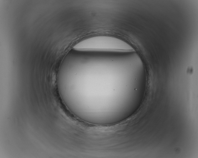 X0000111830025200907301331