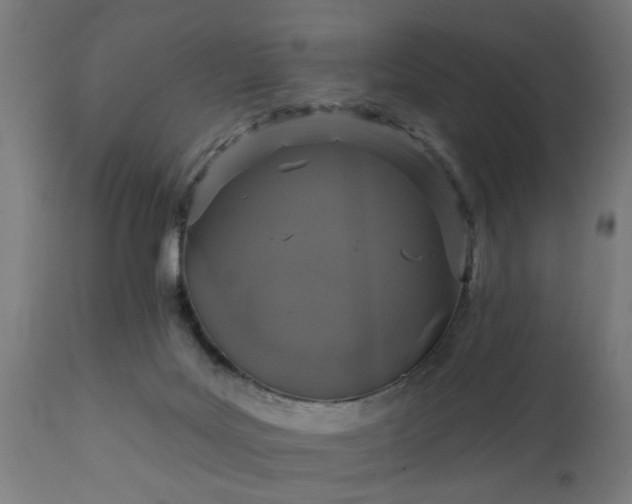 X0000111830027200907301331