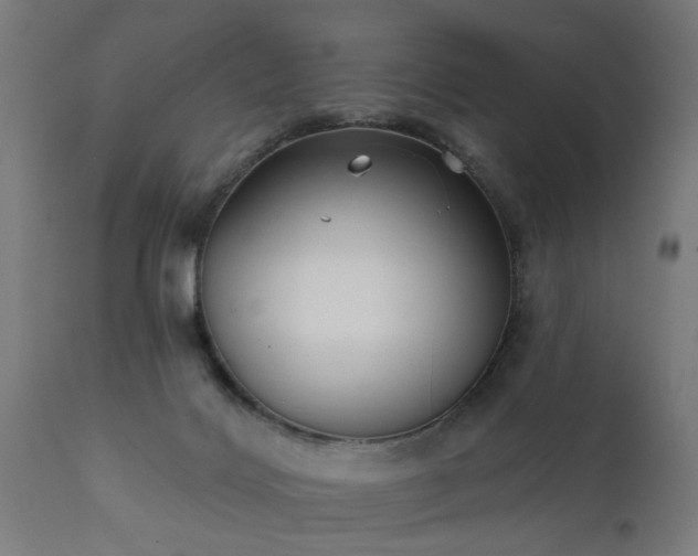 X0000111830028200907301331