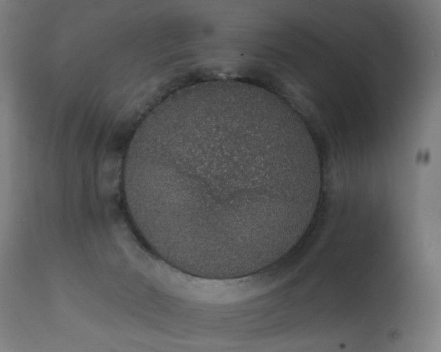 X0000111830030200907301331